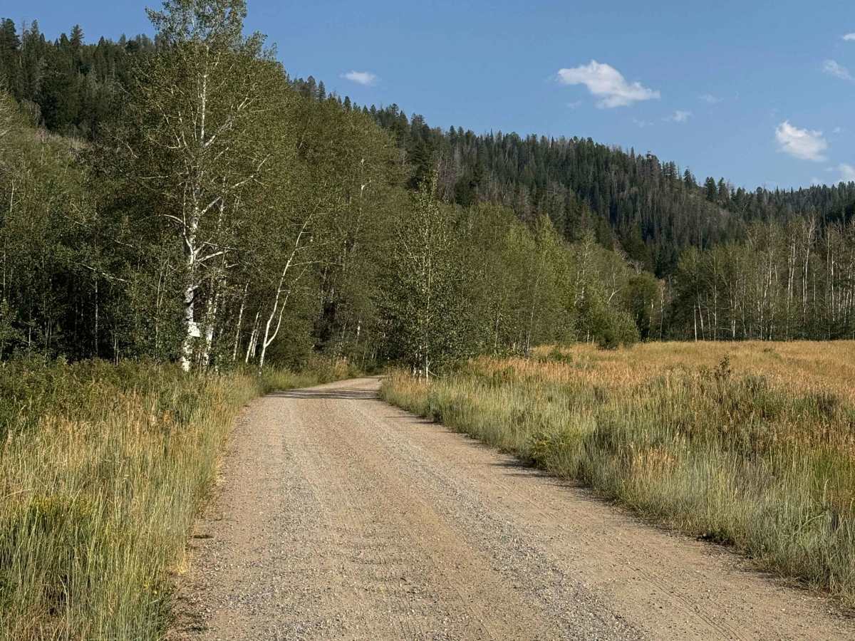 CR 60 photo 5