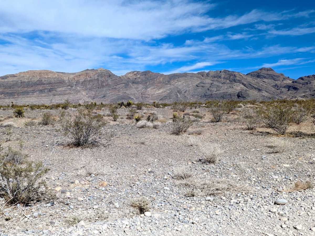 Carpenter Canyon Road photo 2