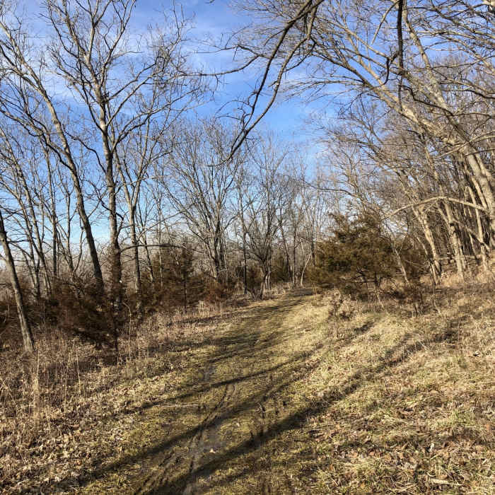 This section is on the Main Line trail, it is two way traffic and great for beginners Near Main Line