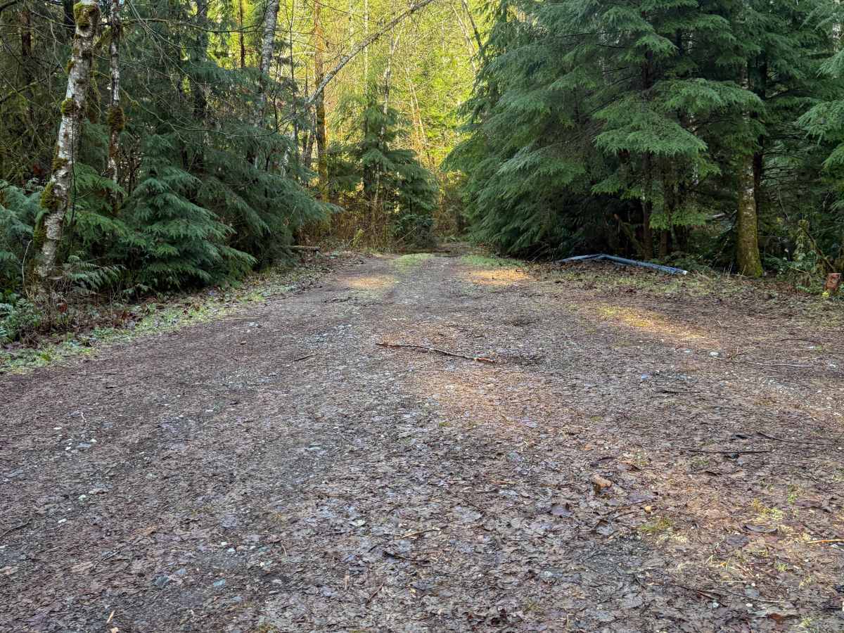 Rat Trap Pass Spur 1 photo 6