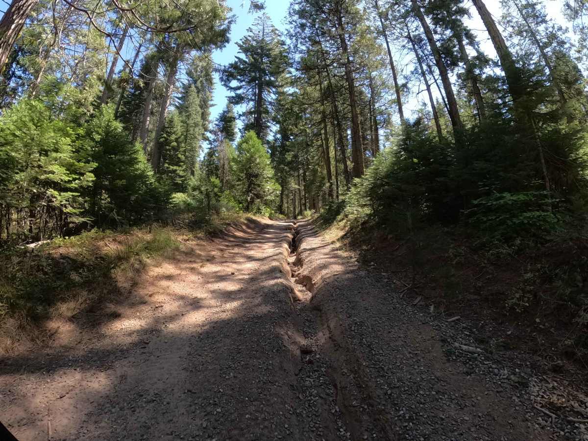 Mc Gilvery Creek - FS 6S036 photo 4