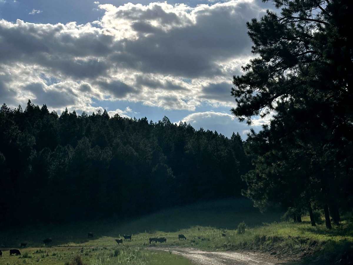 Perk Canyon photo 5