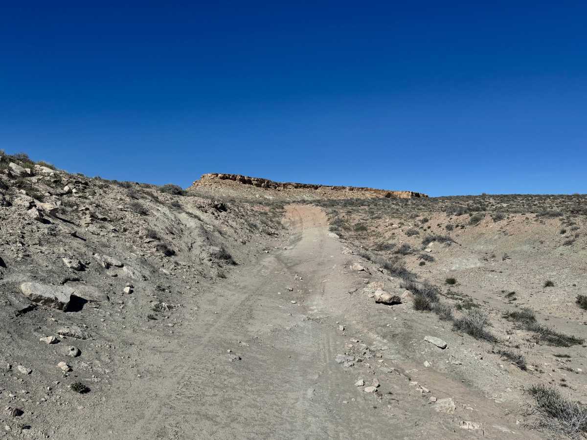 Yellow Cat Scenic Connector photo 3