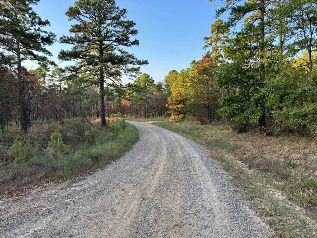Zelon Young / Robert Hill Road photo 4