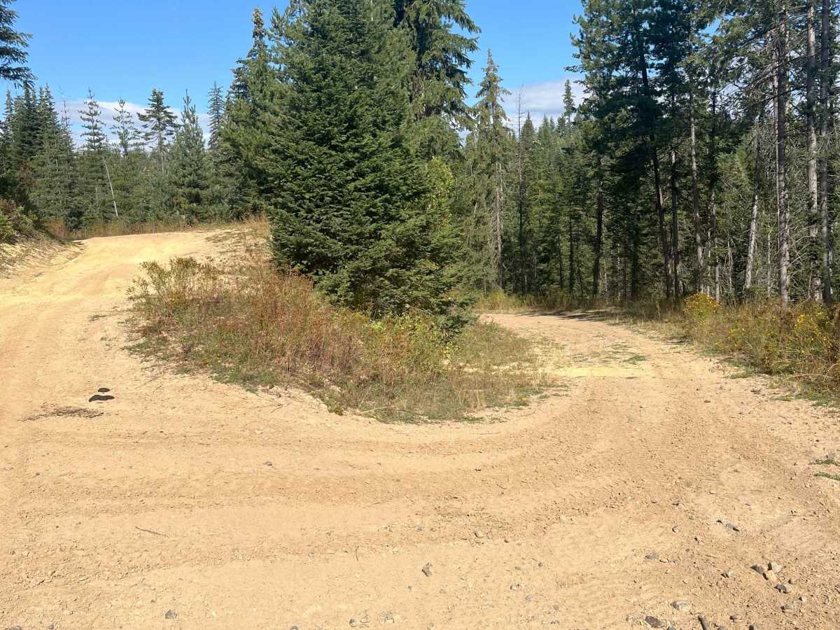 Moose Creek Upper Road Track photo 4