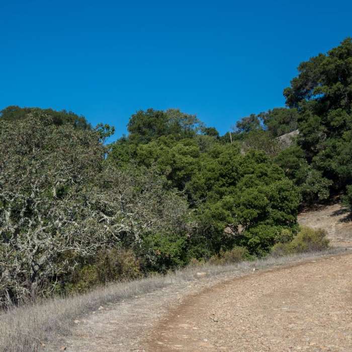 Near Quicksilver History Loop