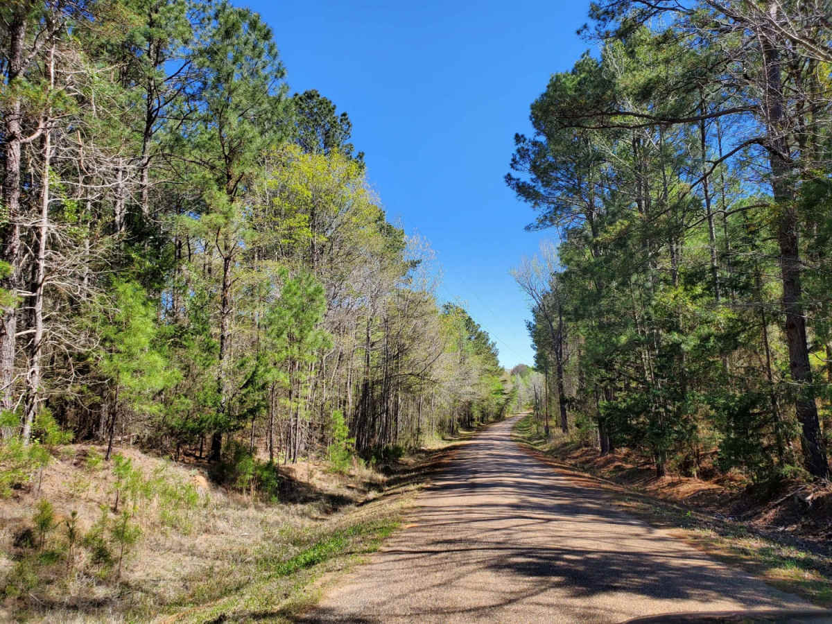The Arkansas Overland Route - Section 2 - Highway 371 to Road 113 photo 5