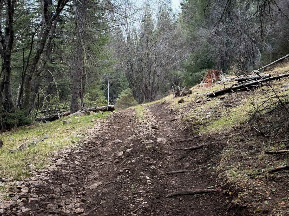Hubbell Canyon- FS 9277 trail photo