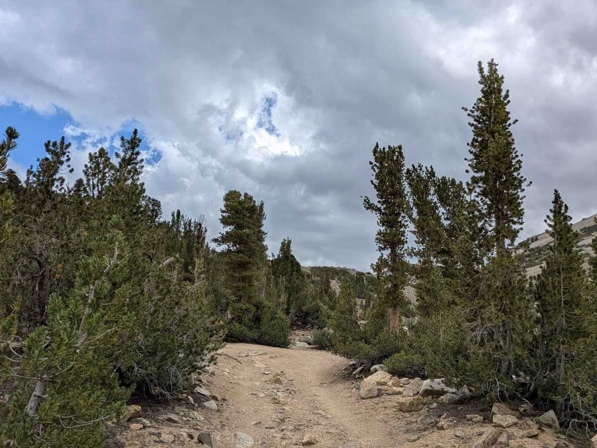 Coyote Lake Trail - FS 31E304 photo 3