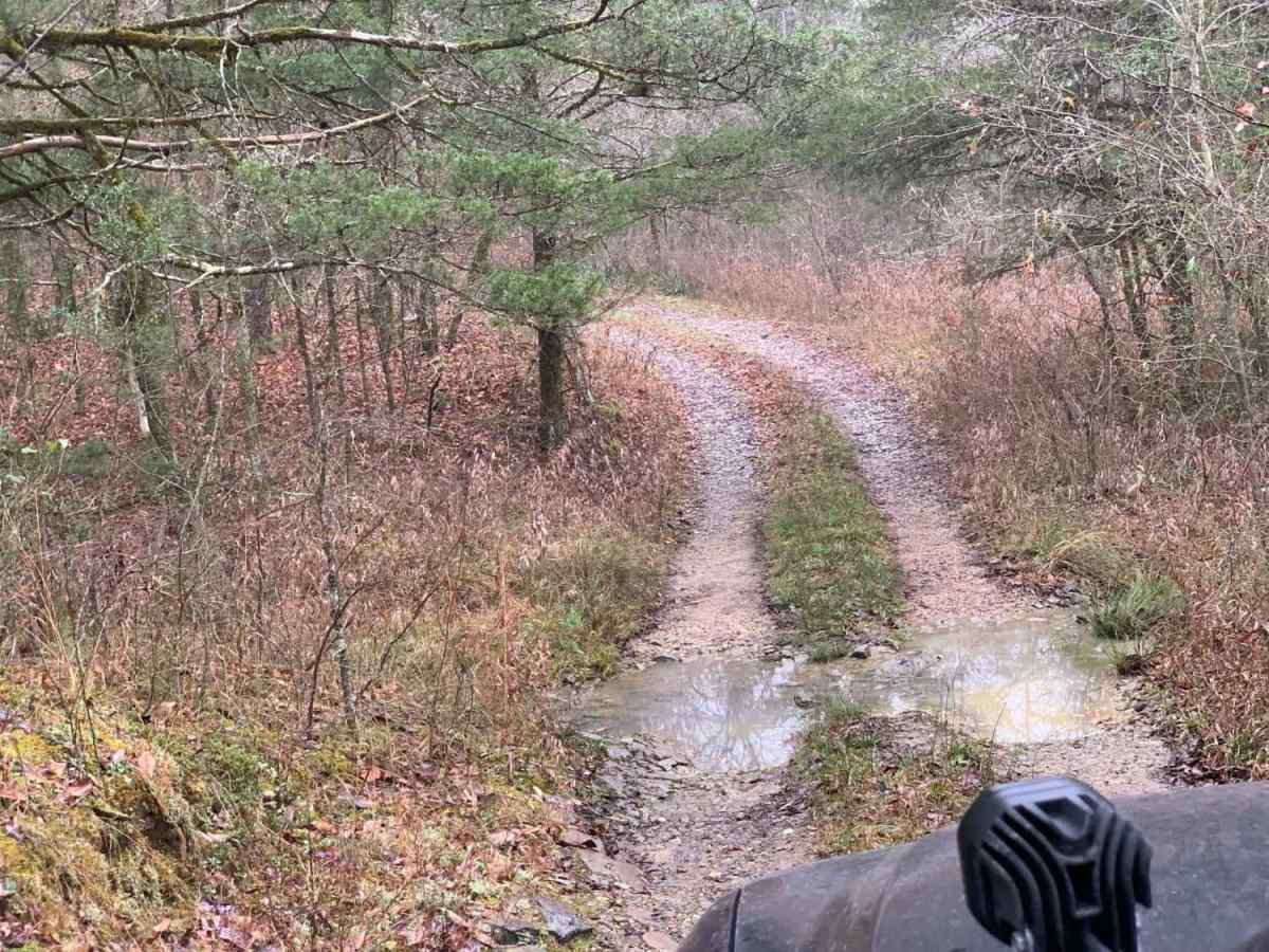 Hidden Camp Trail photo 4
