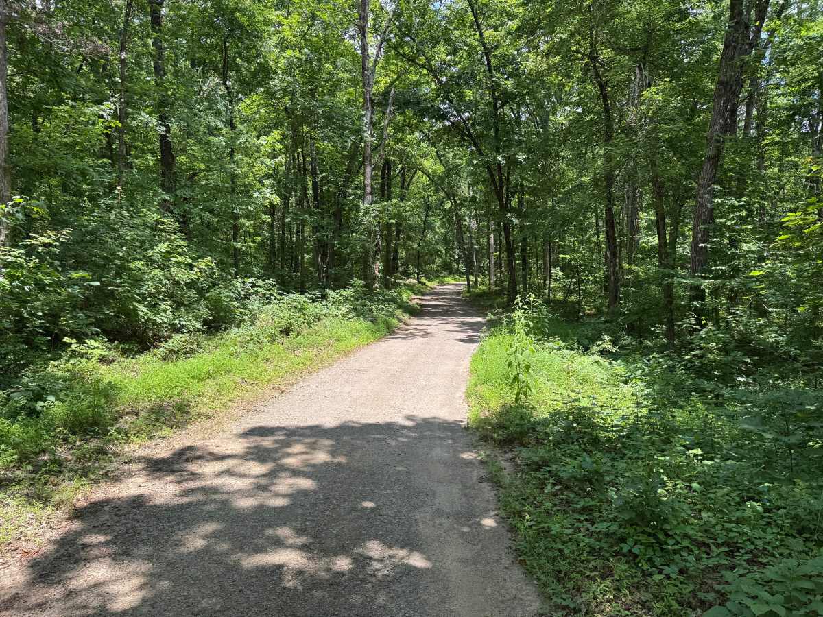 County Road 6291 trail photo