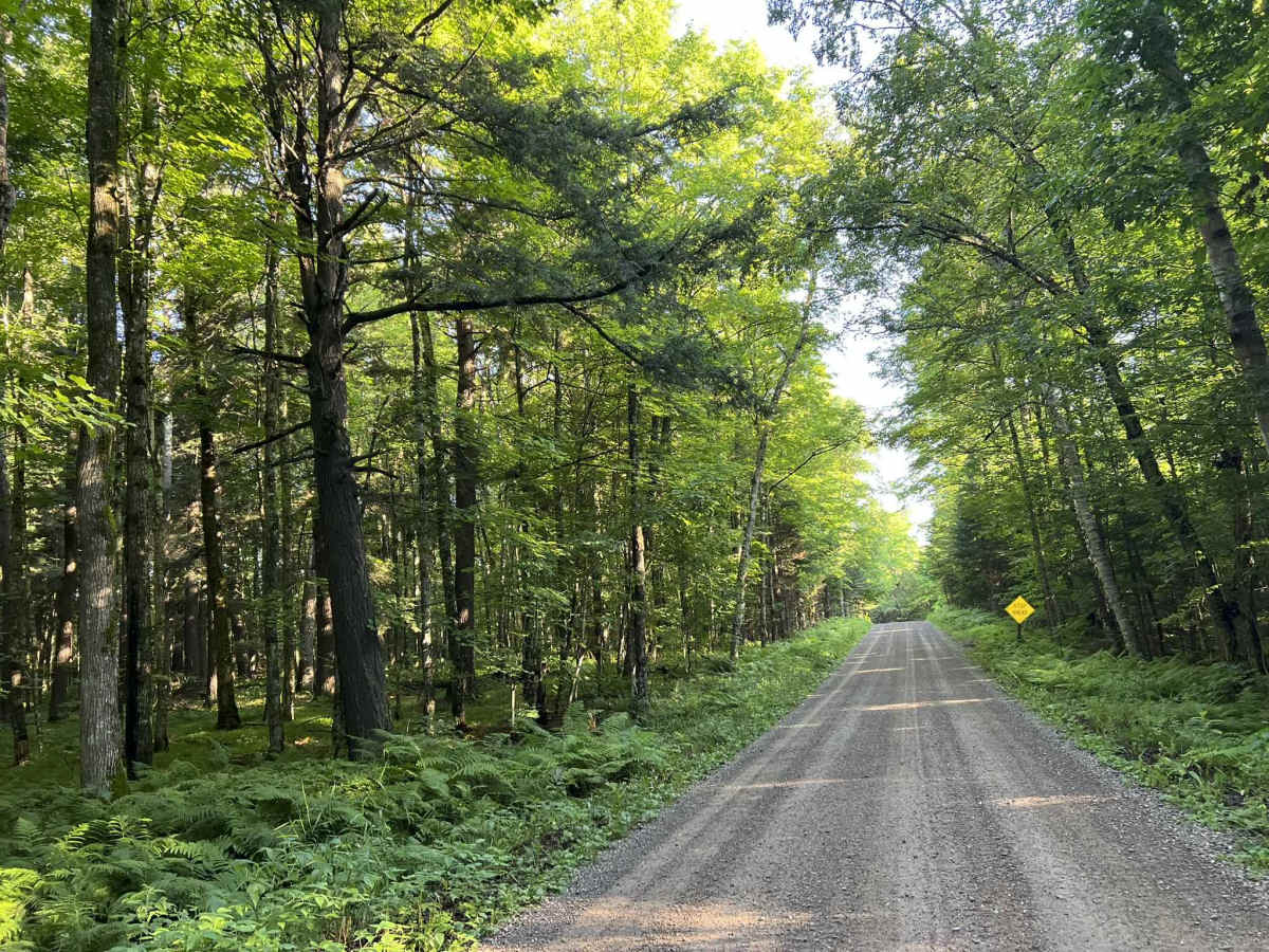  Lost Lake Road - FS 2158 trail photo