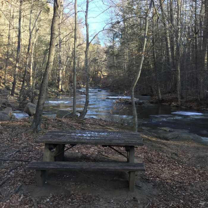 Near Wintershine Trail (Orange)