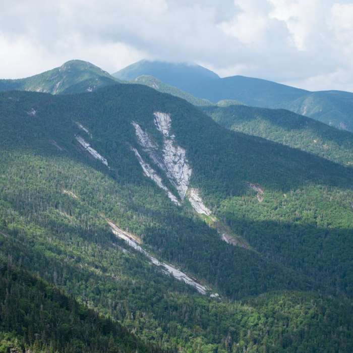 Near Gothics + Armstrong Near Gothics + Armstrong