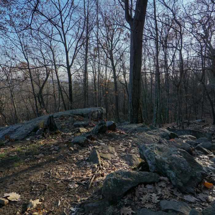 Near Turkey Mountain