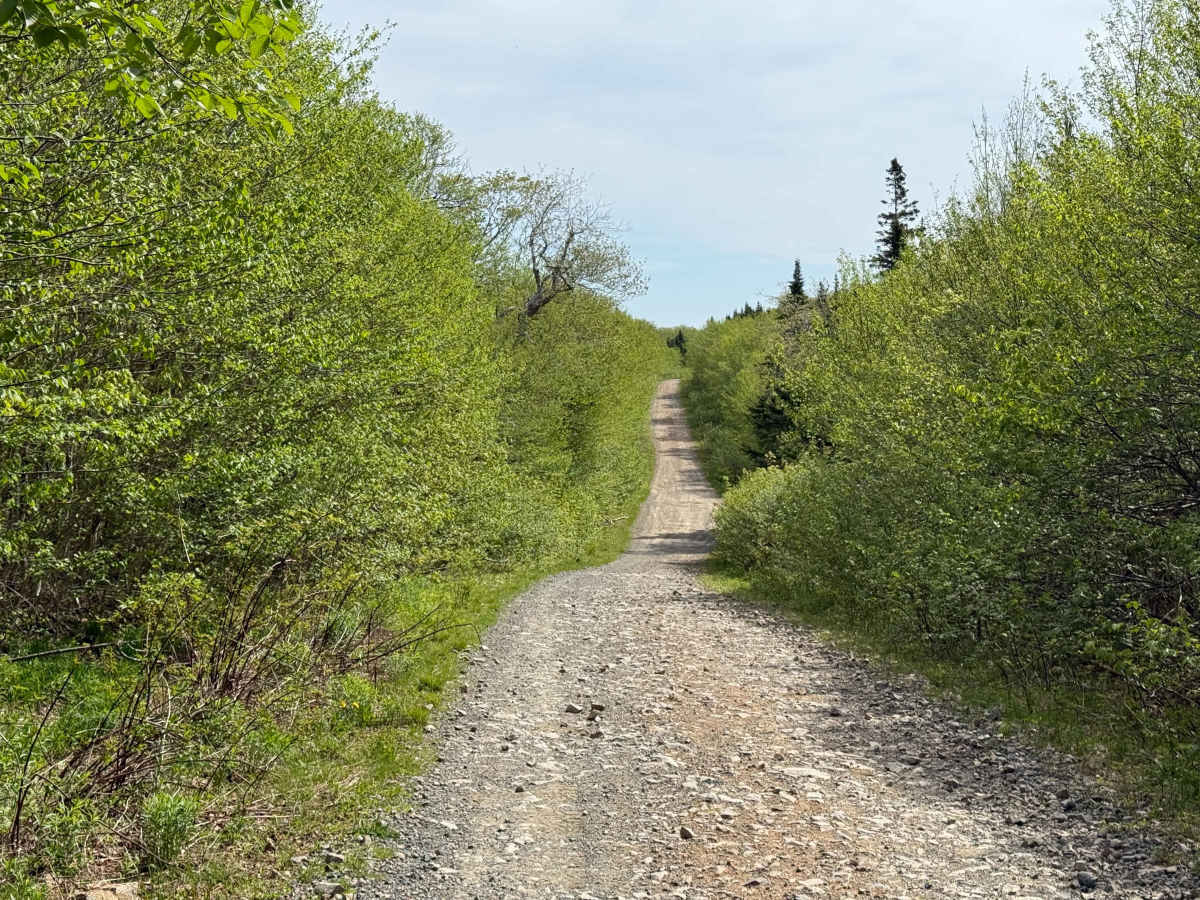 Whycocomagh Mountain Road Trail photo 5