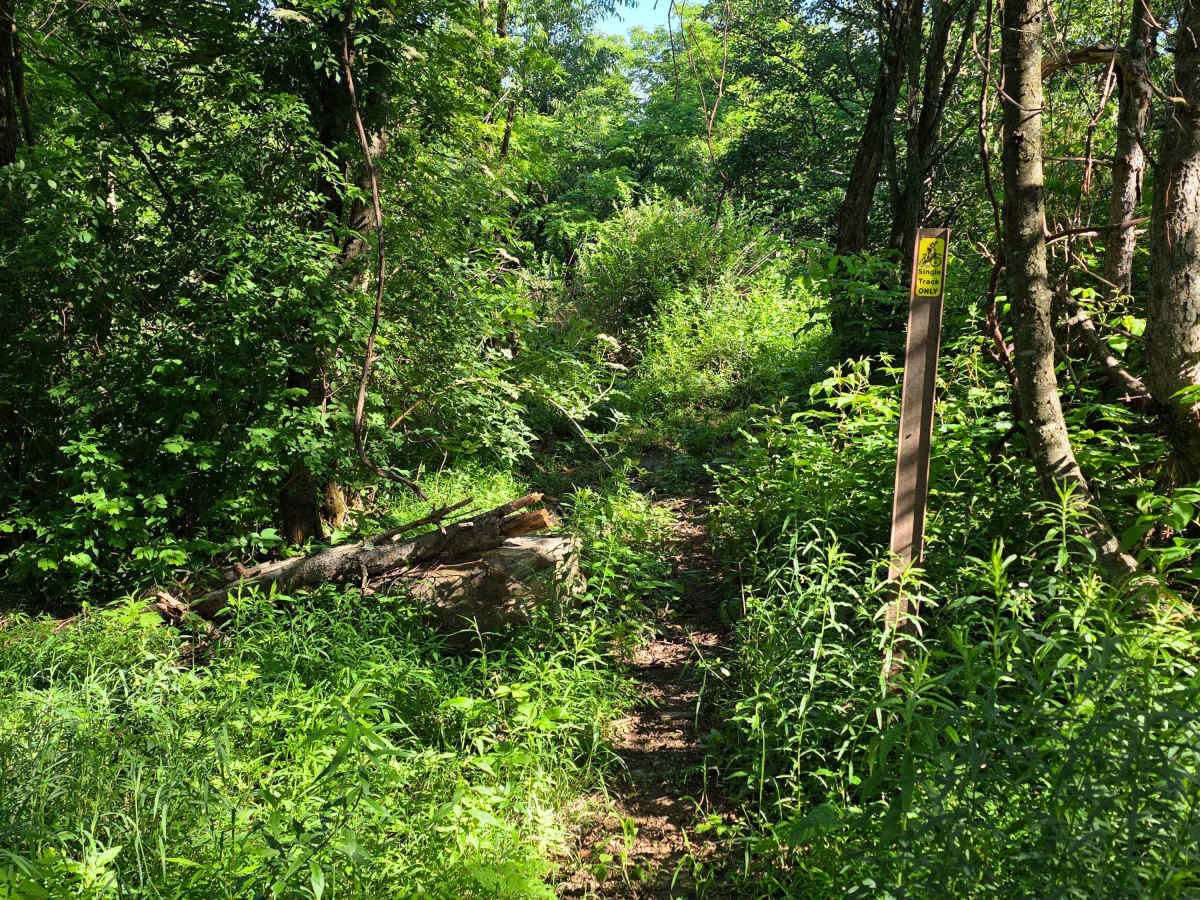 Single Track M photo 2