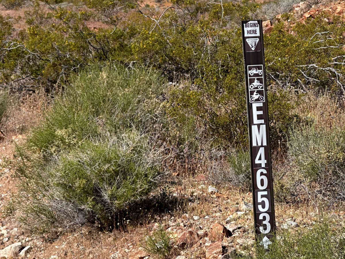 Sunburn Ridge trail photo