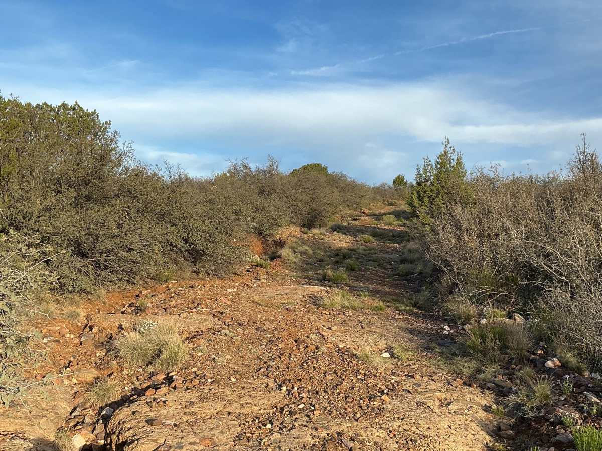 Porque Tank Trail photo 4
