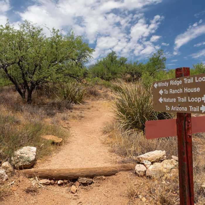Near Windy Ridge Trail