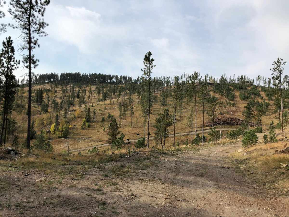 FS 2A trail photo