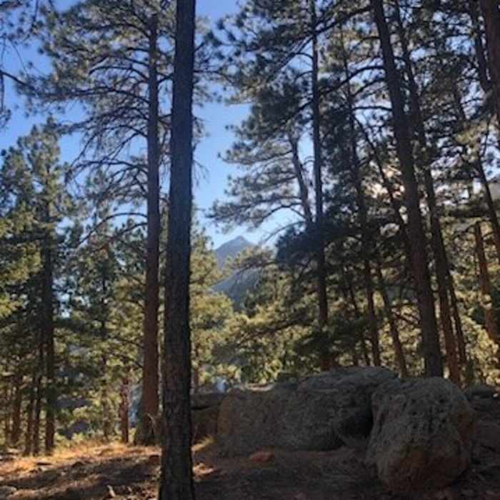 Near Skunk Canyon Trail