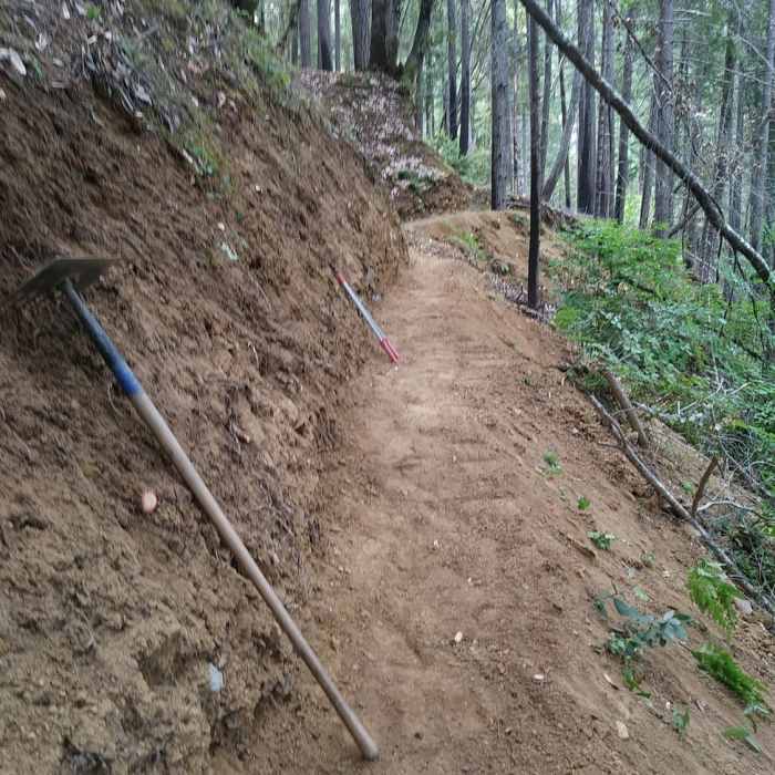 Near Butler Mountain Trail