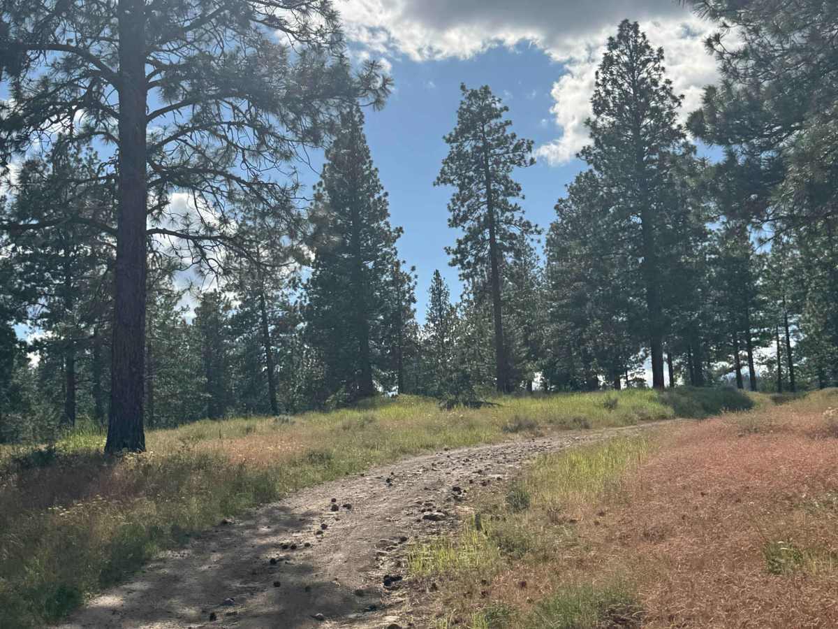 Mill Canyon Road photo 3