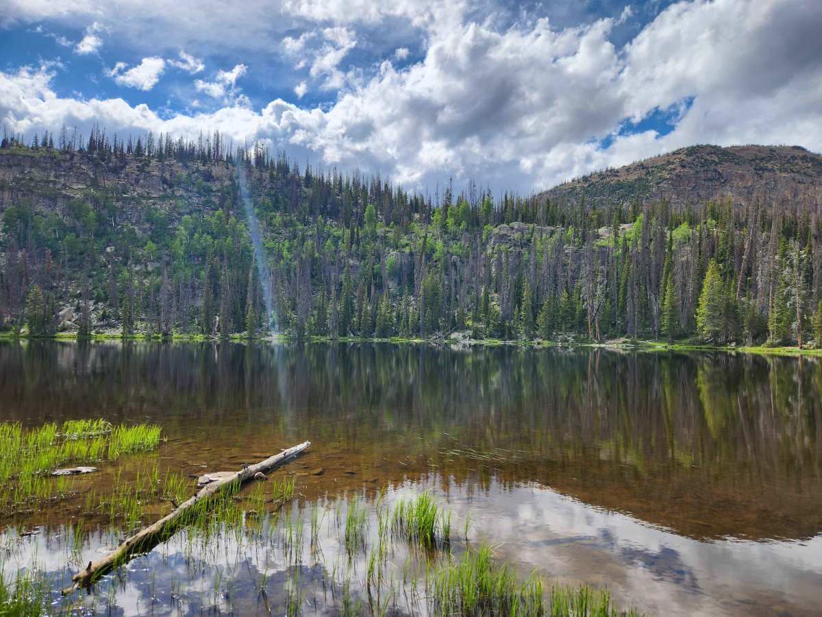 Blue Lake Loop - FS 80531 trail photo