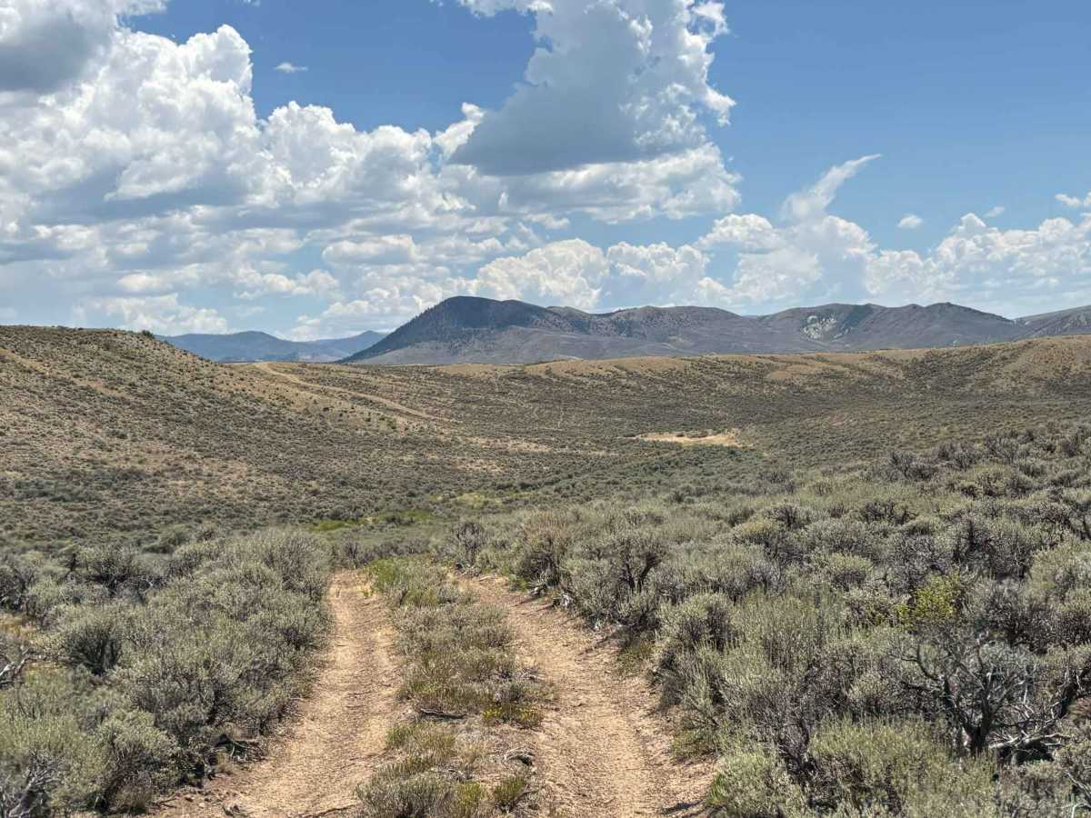 Kremmling Cretaceous Ammonite Locality Loop trail photo