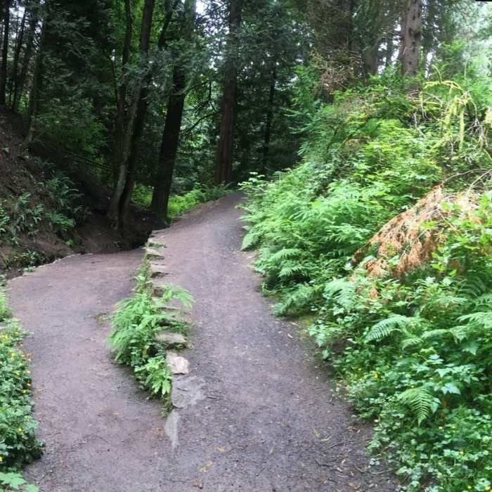 Near Hoyt Arboretum Loop