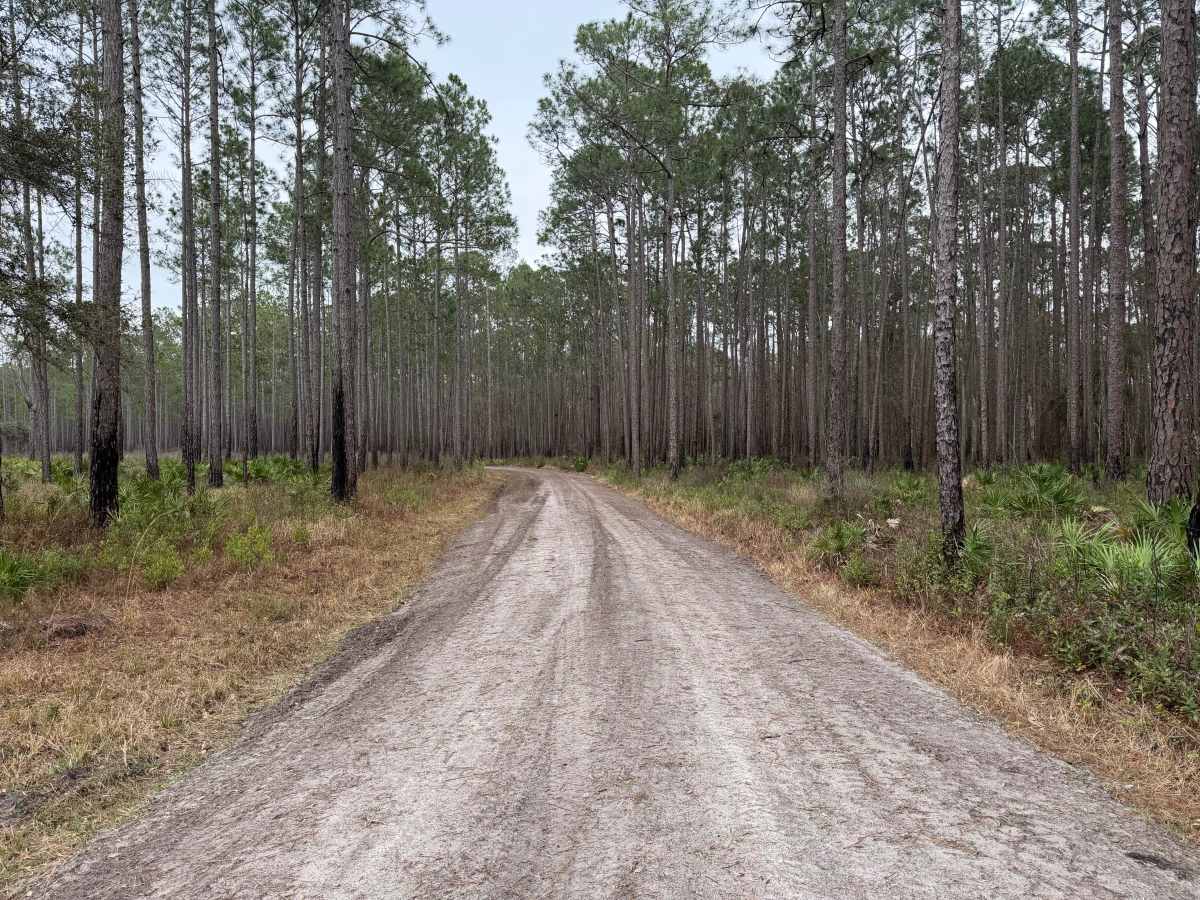 FR 775-B photo 3