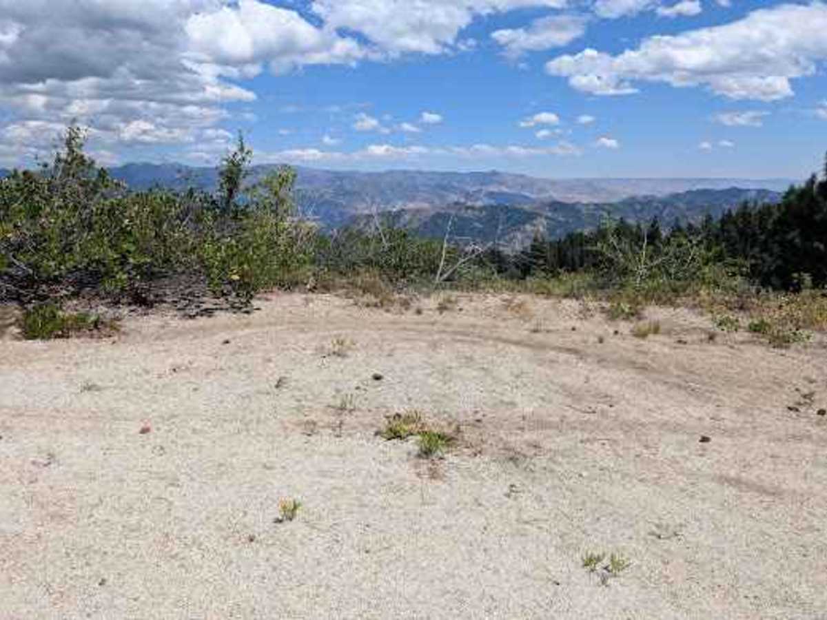 Wedge Mountain Road - FS 7300-400 trail photo