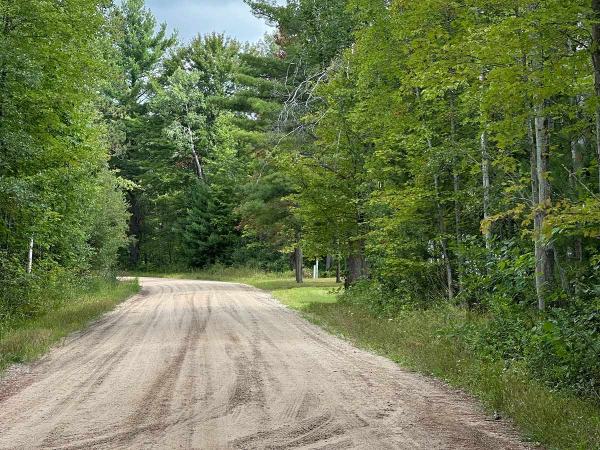 Dorr Road photo 2