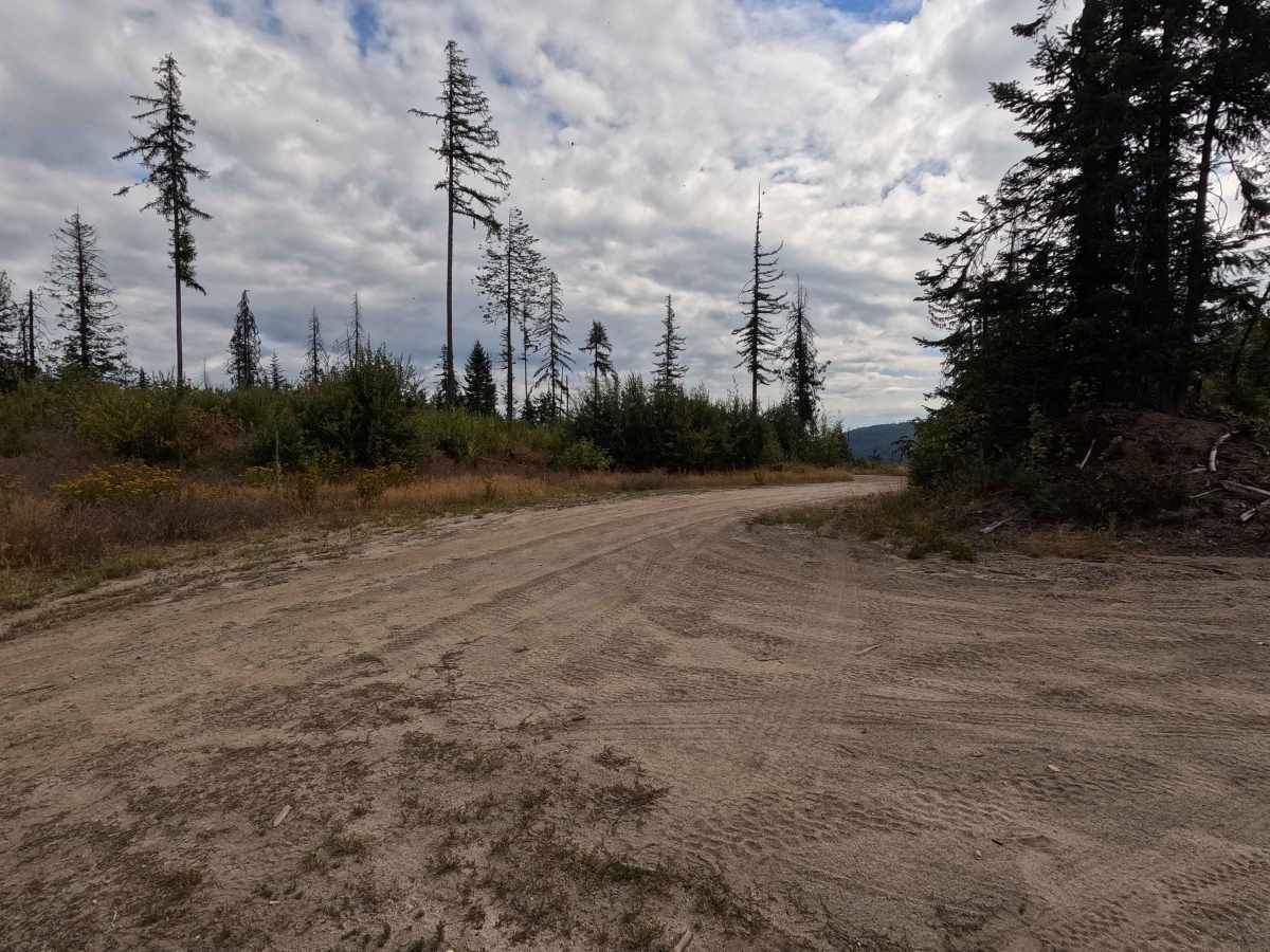 Solo Creek - FS 659 trail photo