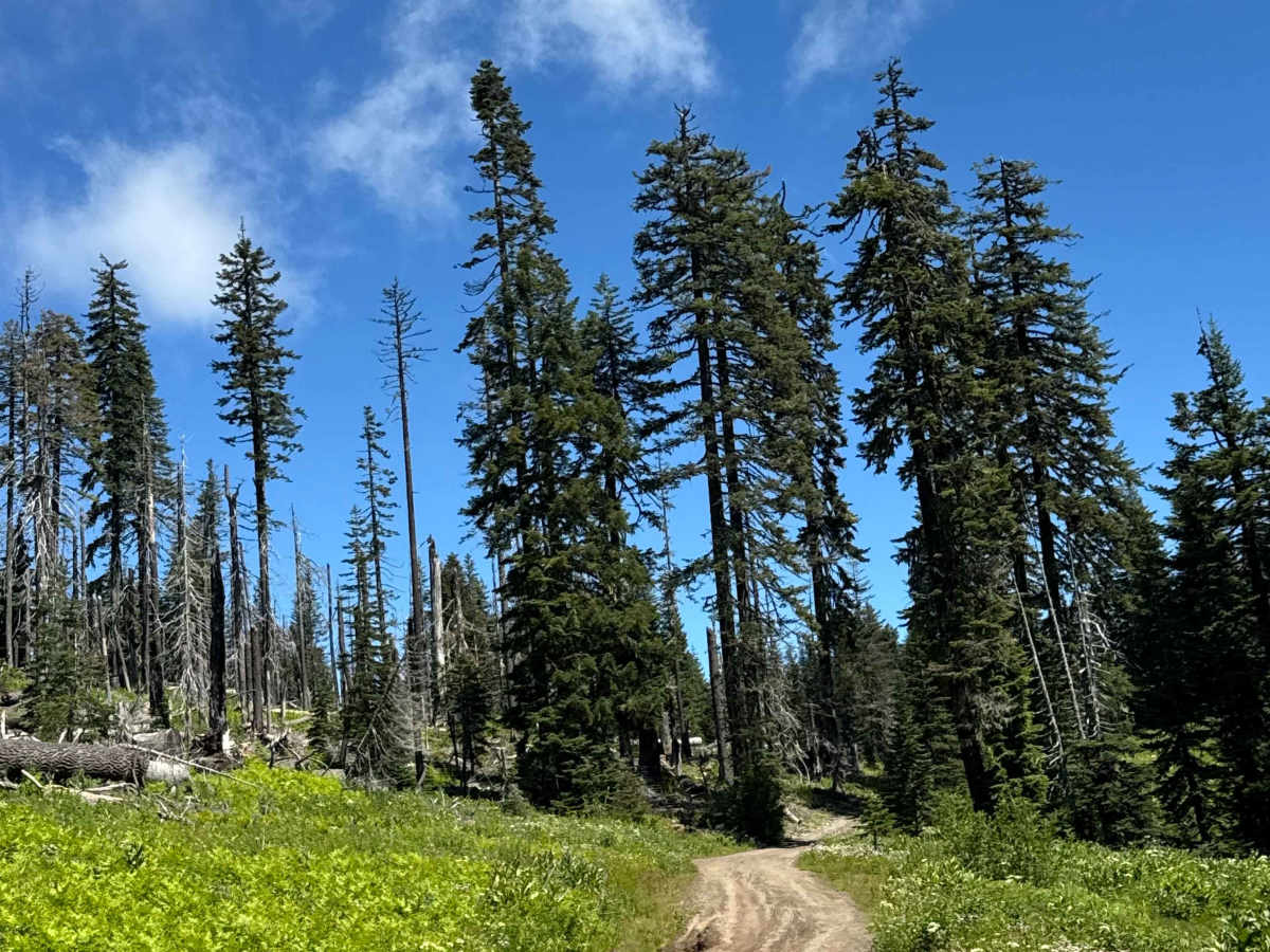 Hershberger Lookout Trail - OHV 26 photo 5