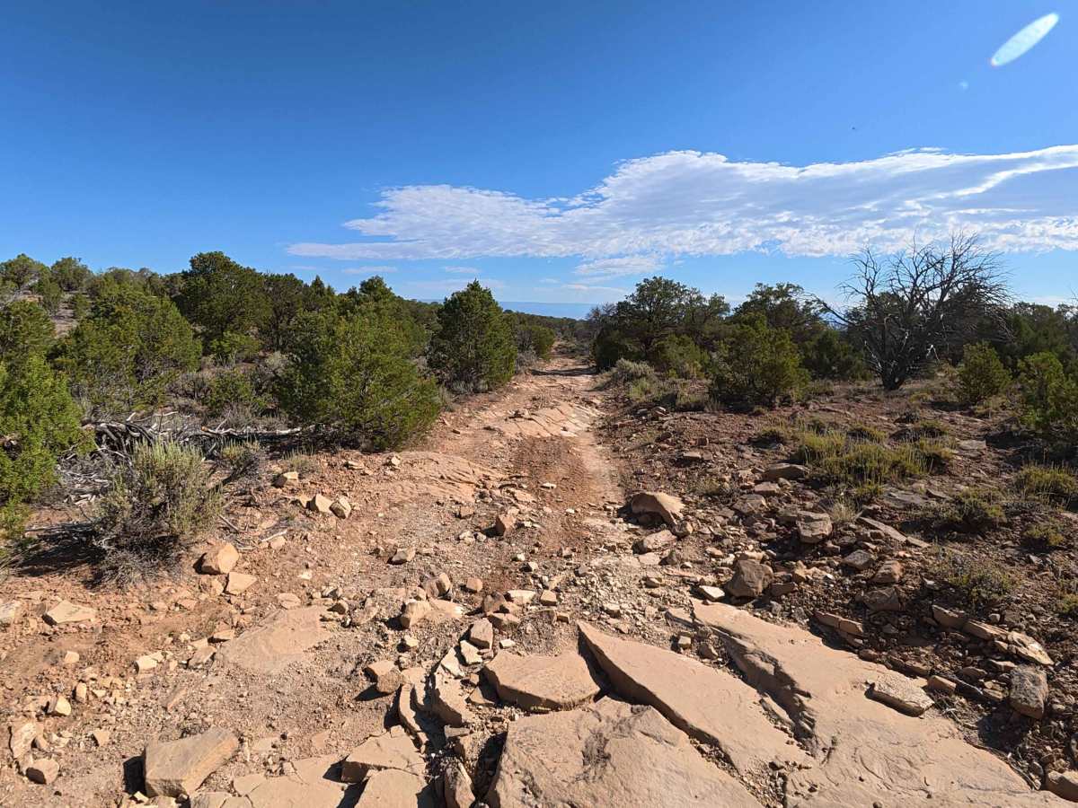 Roatcap Gulch Road trail photo