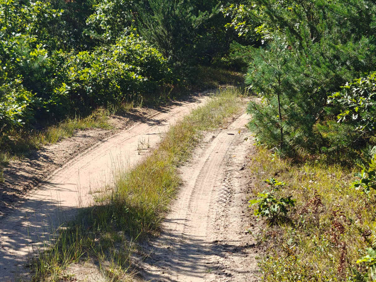 South Townline Road photo 3