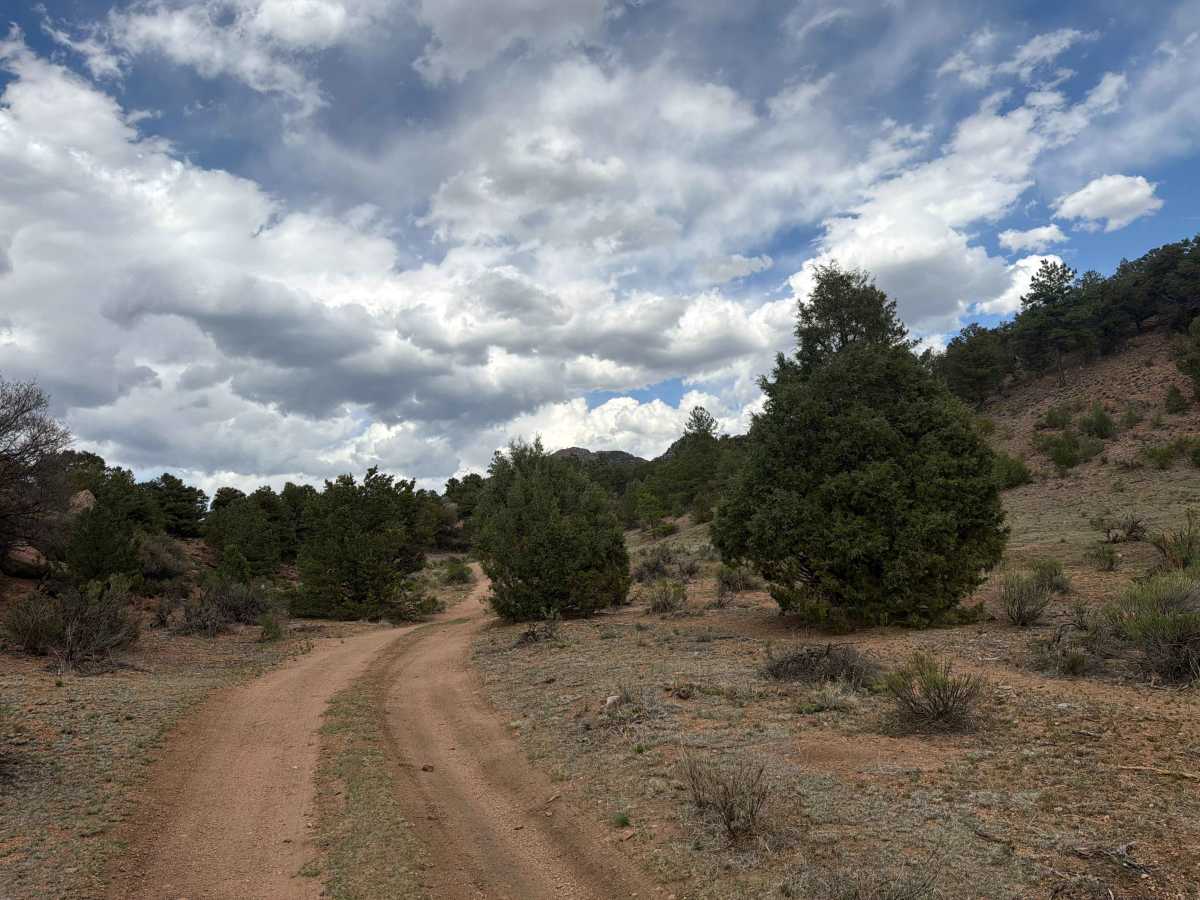 BLM 6220A photo 4