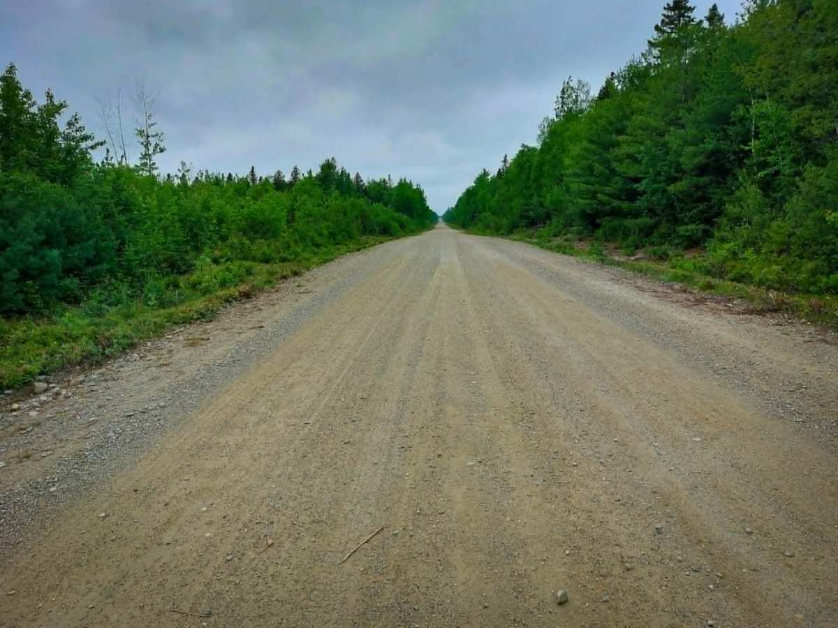 Fraser Burchill Road photo 5