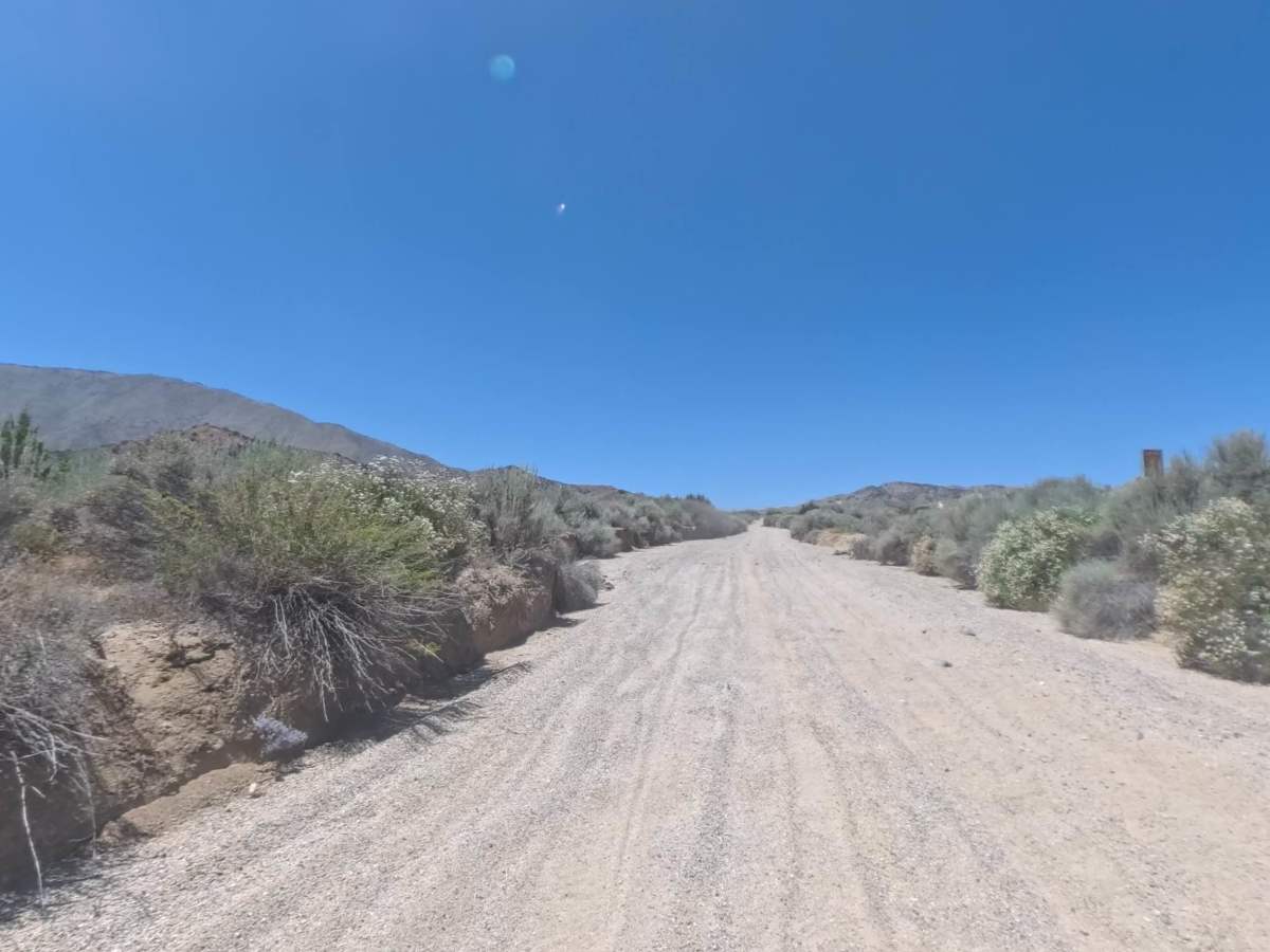 Roadrunner Trail South photo 5
