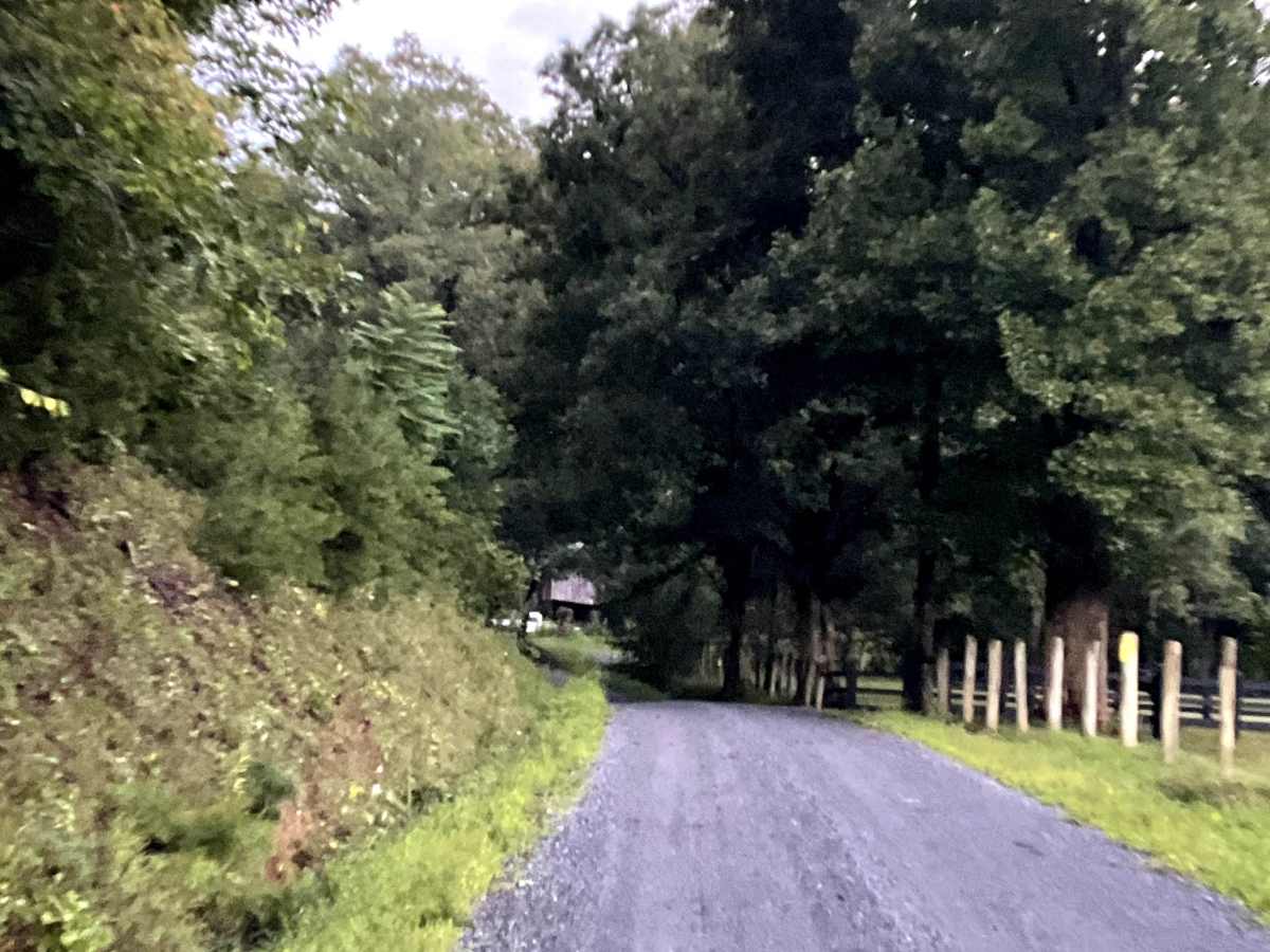 Locust Bottom  photo 3