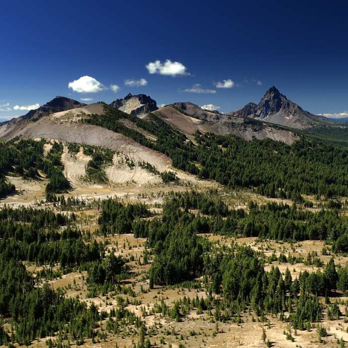 Near Tipsoo Peak Trail #1472