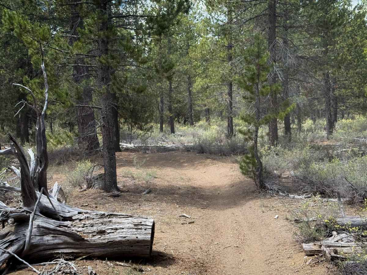 Trail 37  photo 6