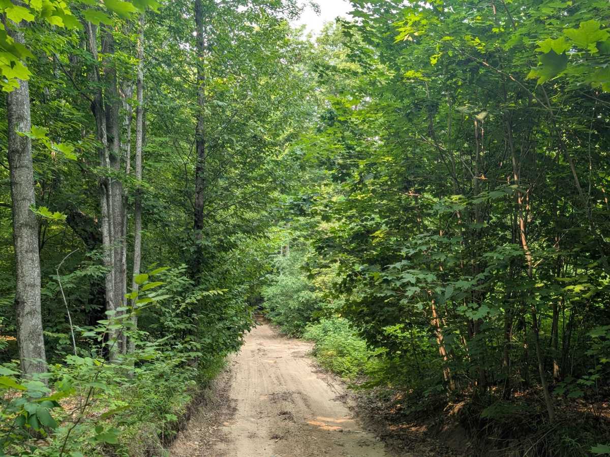 Vandermullen Southeast Road photo 4