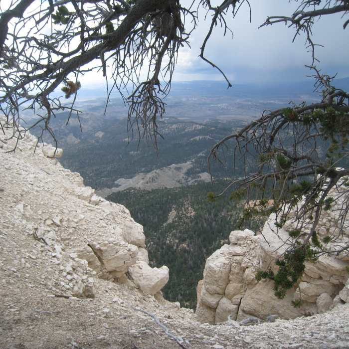 Near Powell Point Trail