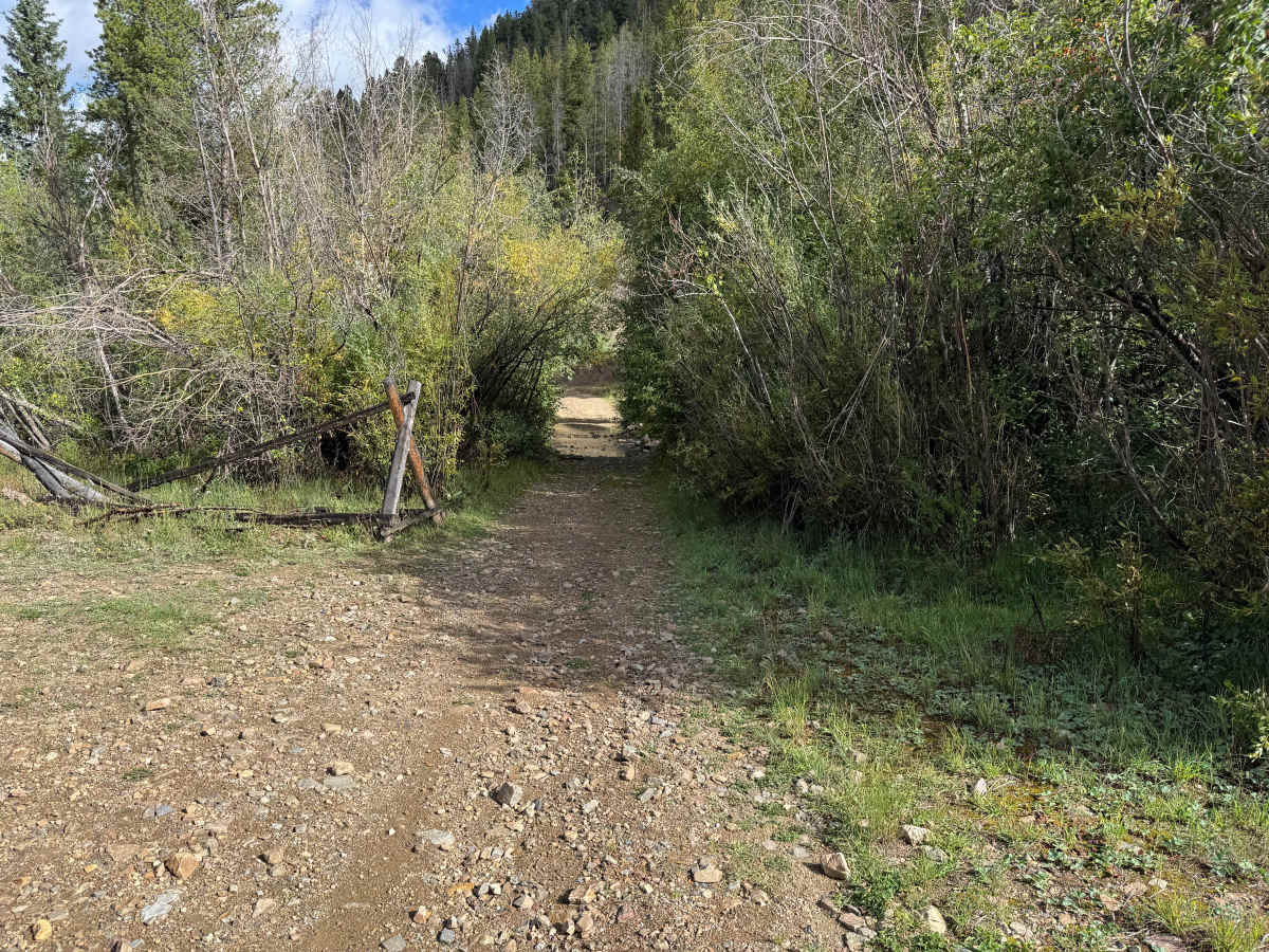 Peabody Placer photo 2