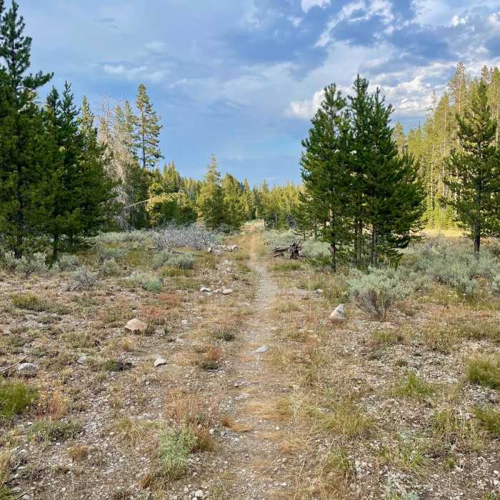 Near Continental Divide Trail: Montana-Idaho Section 10