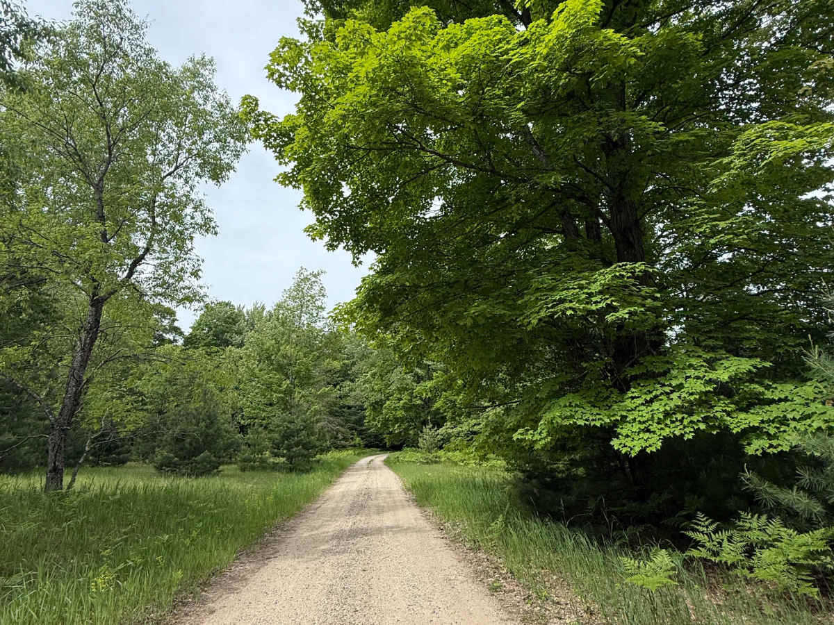 Oil Pump Trail photo 4