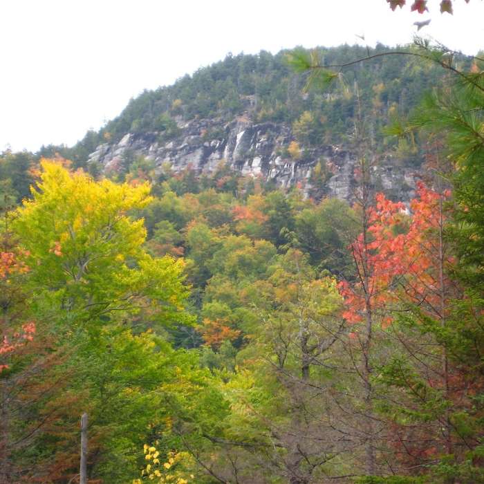 New Hampshire has the best fall colors of anywhere on earth. This is from the beaver meadows below Gentian Pond. Near Gentian Pond Out and Back